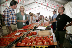 Cabez&oacute;n de la Sal celebrar&aacute; este s&aacute;bado su I Feria Agroalimentaria con cuarenta puestos