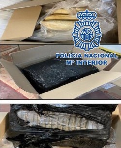 Cae una red criminal en Málaga que enviaba droga a Francia oculta entre pan congelado