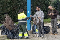 Camargo abre este lunes el plazo de inscripción para solicitar ejemplares en la 34ª Campaña de Repoblación Forestal