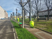 Camargo intensifica la limpieza y el mantenimiento de los espacios urbanos por los temporales