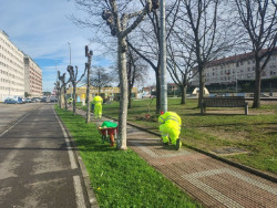 Camargo intensifica la limpieza y el mantenimiento de los espacios urbanos por los temporales