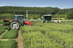 Cantabria ayudará con 5,3 millones a jóvenes y nuevos agricultores y a mejorar las explotaciones