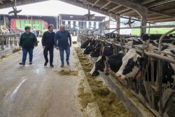 Cantabria celebra hoy la primera reunión para crear un grupo de trabajo para dinamizar el sector lácteo