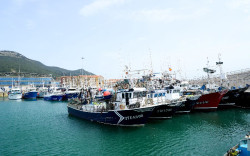 Cantabria concede 1,5 millones en ayudas para modernizar la flota pesquera