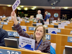 Cantabria defiende una financiación europea que garantice la respuesta de las regiones a futuras crisis