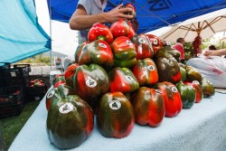 Cantabria destina cerca de medio millón para promocionar en las ferias los productos alimentarios