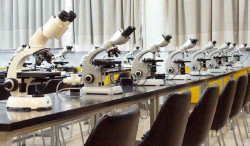 Cantabria, donde menos crece el gasto en I+D interna en 2022, un 4%