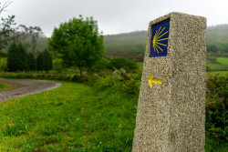 Cantabria participar&aacute; en la planificaci&oacute;n del A&ntilde;o Jacobeo 2027, junto con el Estado y otras ocho CCAA
