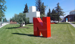 Cantabria, segunda CCAA con mayor tasa de trasplante de médula ósea en 2024, con 147,5 intervenciones