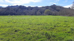 Cantabria vivir&aacute; una primavera m&aacute;s c&aacute;lida de lo habitual