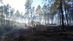 Cantabria y otras once CCAA piden consenso al Gobierno en el decreto sobre prevenci&oacute;n laboral en incendios forestales