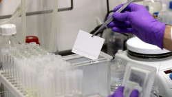 Casi setenta cient&iacute;ficos piden confinamiento total para evitar que la Sanidad se colapse el 25M