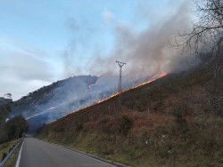Casi toda Cantabria est&aacute; en riesgo muy alto o extremo por incendios forestales