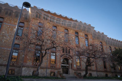 Cataluña detecta 10 casos de tuberculosis en un asentamiento ocupado de Badalona (Barcelona)