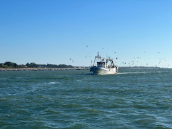 Cepesca valora el acuerdo pesquero de la UE como el "mejor posible" en un contexto negociador "muy adverso"