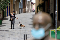 Científicos reclaman más investigación sobre la infección de SARS-CoV-2 en animales para minimizar riesgos