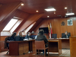 Condenado a 16 años de prisión por desatender a su madre enferma y dejarla morir