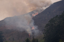  Contin&uacute;a activo en Cantabria el incendio forestal de Los Tojos, adem&aacute;s de tres ya controlados