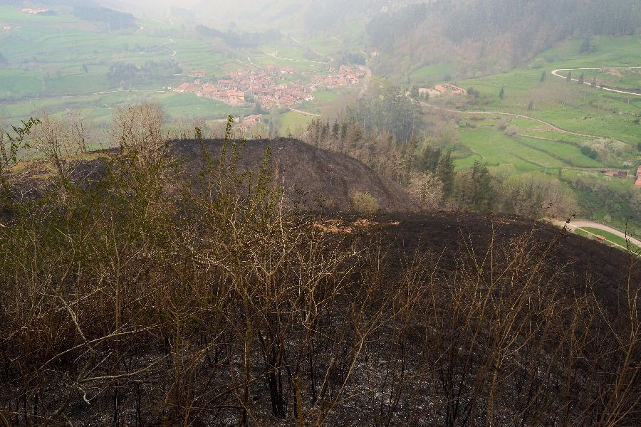 Continúa la oleada de incendios forestales en Cantabria, con 26 focos ...