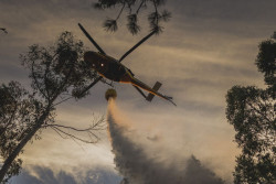 Controlado el incendio forestal de Lousame tras quemar unas 30 hect&aacute;reas, aqu&iacute; se queman por miles
