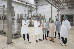 Convocadas ayudas por 21,6 millones para inversiones en transformación y comercialización de productos agrícolas