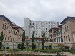 Denuncian la muerte de una mujer demente de 81 años tras una mastectomía en Valdecilla rechazada por la familia