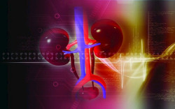 Desarrolla una biopsia l&iacute;quida altamente precisa para detectar el c&aacute;ncer de ri&ntilde;&oacute;n en fases tempranas