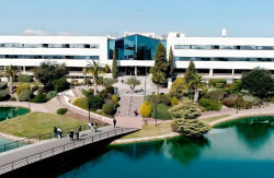 Desarrollan una IA que automatiza y optimiza el an&aacute;lisis de encuestas a universitarios