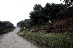 Desarrollo Rural convoca ayudas por dos millones de euros para mejorar los pastizales de aprovechamiento común en 2026