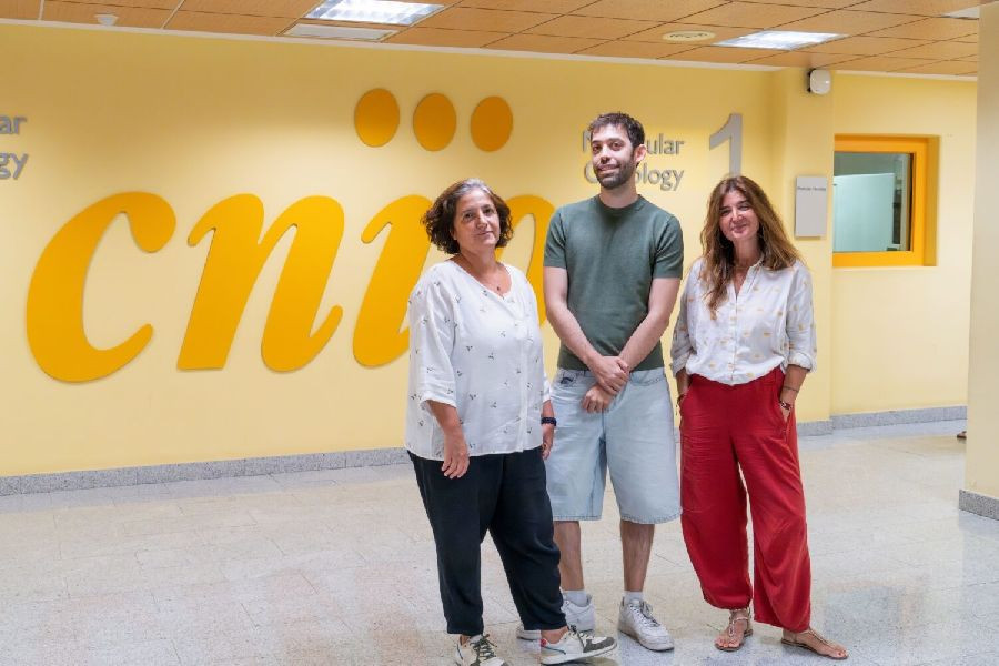 Descubren c&oacute;mo las c&eacute;lulas evitan errores al duplicar su material gen&eacute;tico