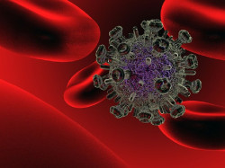 Descubren c&oacute;mo se vuelven infecciosos los retrovirus