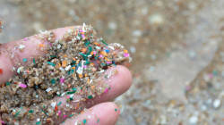 Descubren la presencia de microplásticos en muestras seminales y ováricas