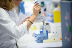 Descubren que una terapia en estudio para el c&aacute;ncer tambi&eacute;n puede ser &uacute;til para la enfermedad de Gaucher