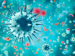 Descubren un pequeño anticuerpo que podría ofrecer una amplia protección frente a la gripe