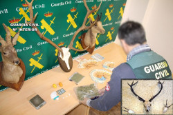 Desmantelado un punto de venta de coca&iacute;na en Li&eacute;bana con tres detenidos, dos implicados tambi&eacute;n en caza furtiva