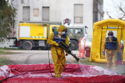 Después del bocadillo en mal estado causante de la peste porcina ahora dicen que puede proceder  de un laboratorio