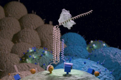 Dise&ntilde;an un nanodispositivo que ayuda seleccionar con precisi&oacute;n las c&eacute;lulas cancer&iacute;genas en las terapias CAR-T