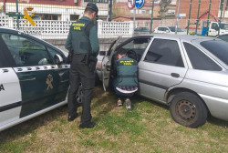 Dos detenidos y desmantelado un punto de distribución de droga en un piso de Laredo