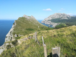 Ecologistas piden al Gobierno priorizar la aprobación de planes de conservación de especies y espacios naturales