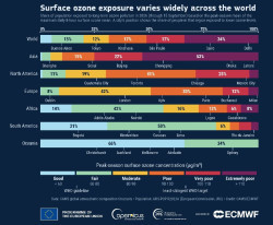 El 40% de la poblaci&oacute;n mundial ha estado expuesta a niveles nocivos de ozono en lo que va 2026, seg&uacute;n Copernicus