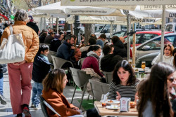 El anteproyecto de Ley de Alcohol no considera bebida alcohólica la graduación menor de 0,5º