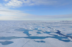 El &Aacute;rtico pierde casi una superficie de hielo equivalente al tama&ntilde;o de Espa&ntilde;a cada d&eacute;cada, seg&uacute;n Copernicus