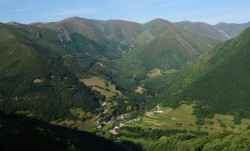 El ataque de un oso a una vecina del Parque Natural de las Fuentes del Narcea, Degaña e Ibias, en Asturias, fue accidental y excepcional