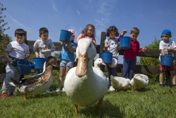 El Ayuntamiento abre hoy el plazo de inscripción para la Granja Escuela