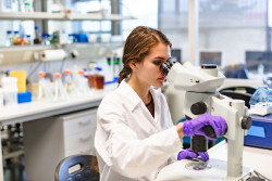 El CISC recibe 1,1 millones de euros en ayudas para un proyecto de investigación sobre tejidos artificiales