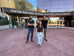 El CNIO descubre un mecanismo del primer oncogén que podría llevar a nuevos tratamientos contra el cáncer