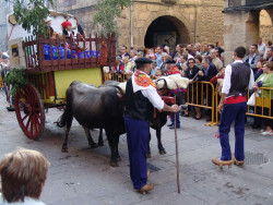 El cuento del lobo y la ruina de los ganaderos  Por Carlos Magdalena