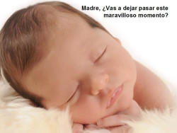 El día de la familia