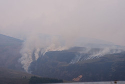 El fuego arrasa 12.946 hect&aacute;reas en Espa&ntilde;a en el primer trimestre de 2026, casi el 90% en el noroeste