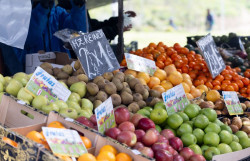 El gasto de hogares en alimentaci&oacute;n cay&oacute; un 6,3% en 2024 y el destinado a veh&iacute;culos aument&oacute; un 10,6%